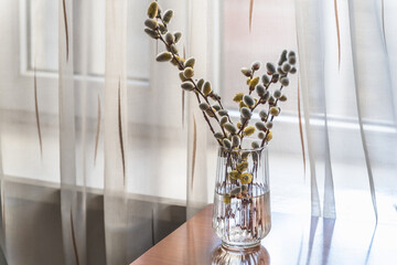 Bouquet of blossoming willow branches in a glass vase on a table by the window, spring day. Spring background, selective focus.