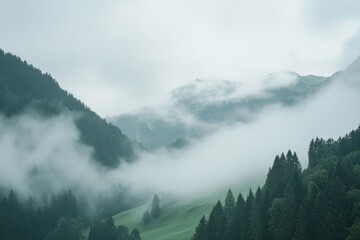 Misty Mountain Landscape Scene Depicting Trees and Green Valleys