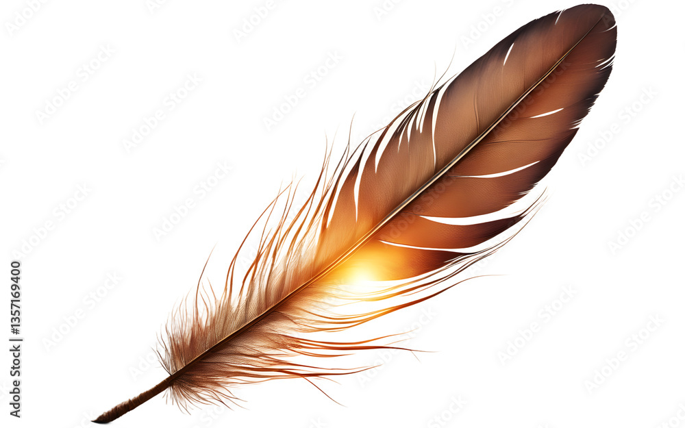 Poster phoenix feather radiating warm light, isolated on a empty plain background