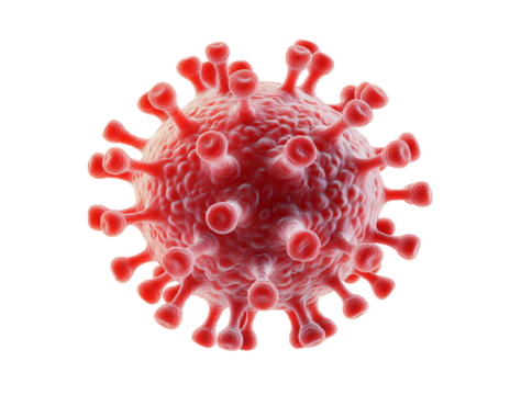 A 3D rendered image of a red virus cell against a transparent background, highlighting its distinct spiky surface and the microscopic threat it represents - Powered by Adobe