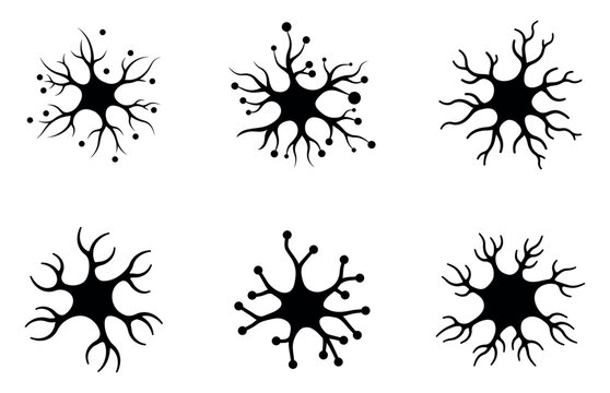 Set of silhouette black flat neuron cells with long axons. Vector illustration