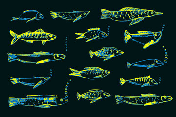 Crayon hand drawn set of yellow various fishes. Doodle shapes. Cute sea pattern. Marine kids school background. Color chalk sketch elements on black chalkboard. Vector illustrations
