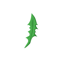 dandelion leaf vector