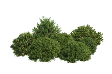 3D Illustration of Various Shrubs and Blooming Flowers Isolated on Transparent Background
