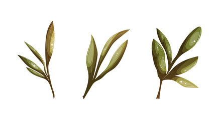 Obraz premium Simple olive branches in flat minimal style.