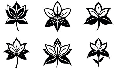 Decorative Black and White Lily or Lotus Flower Designs