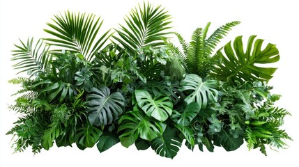 Lush Tropical Foliage