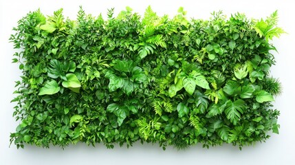 Naklejka premium Tropical Plant Wall
