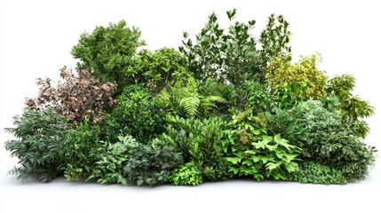 Lush Garden Bushes