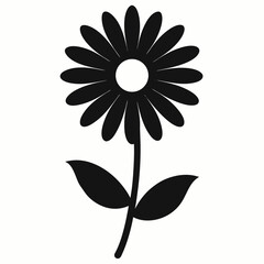 black and white daisy