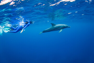 ドルフィンスイムする女性