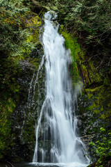 Obraz premium Waterfall in Olympic National Park