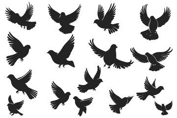 Obraz premium set of vector birds