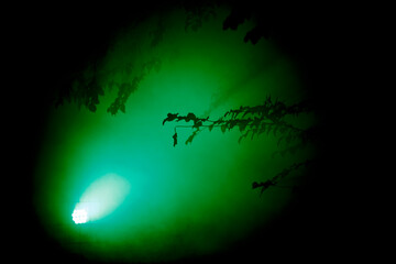 Innovative light installation at Ontpop Klundert 2014 showcasing vibrant green hues and intricate...