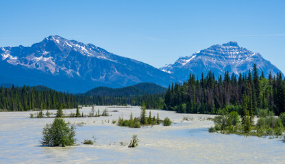 Athabasca River with Mount Kerkeslin and Mount Hardisty, Jasper National Park, Canada.