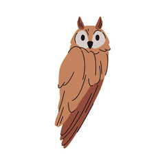 Long eared hooter bird or eagle owl, isolated portrait of avian creature with lush plumage and feathers. Vector wild personage with hooked claws. Forest woods animals, wildlife and natural fauna