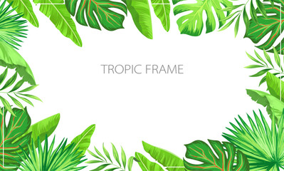 Summer tropic frame. Jungle border with tropical leaves. Botanic background.