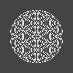 Flower of life emblem. Basic sacred geometry shapes. Thin line icon. Vector illustration on black background