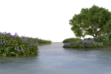 3D Render Tranquil Pond with Large Tree and Riverside Plants on Transparent Background