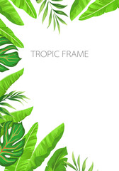 Summer tropic frame. Jungle border with tropical leaves. Botanic background.