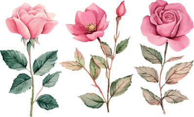 seamless pattern with pink roses