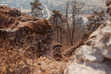 ruins of the medieval Khust Castle