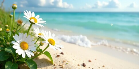 Beautiful daisies blooming on the sandy shores of a serene beach,  ocean,  shore