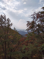 Obraz premium Machovo lake and bezdez castle emerging from colorful autumn foliage in czechia
