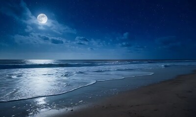 Serene Moonlight Beach at Night