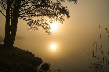 Golden sunrise at a serene lake on a spring morning
