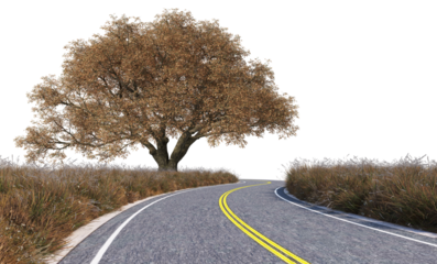 3D Render Scenic Road Passing Through Grass Field with Big Autumn Trees on Transparent Background