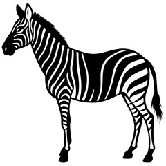 Fototapeta premium A vector silhouette of a zebra standing in profile, 