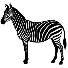 Fototapeta premium A vector silhouette of a zebra standing in profile, 