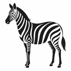 Fototapeta premium A vector silhouette of a zebra standing in profile, 