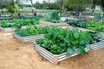 A vegetable garden featuring galvanized metal raised garden beds and wood shaving for mulch, a low maintenance ground cover.