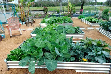 A vegetable garden featuring galvanized metal raised garden beds and wood shaving for mulch, a low maintenance ground cover.