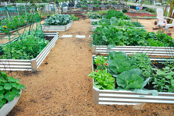A vegetable garden featuring galvanized metal raised garden beds and wood shaving for mulch, a low maintenance ground cover.