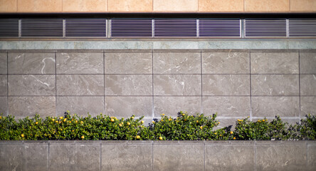 Urban Landscape of Yellow and Green Plants in a Granite Planter Box in the City.