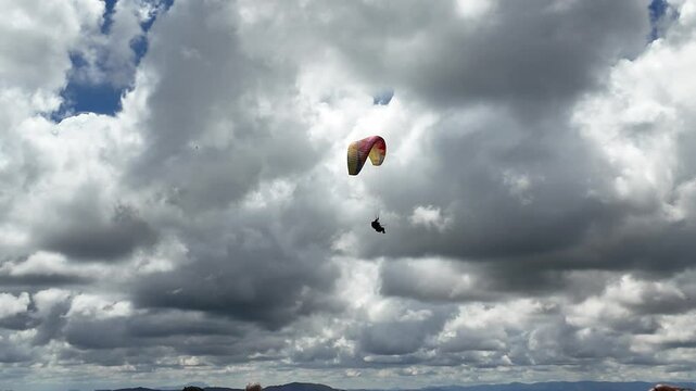 paraglider