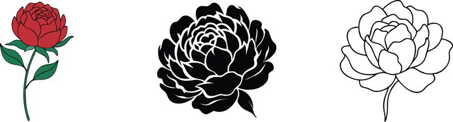 Elegant Peony Flower Designs Red, Black, Outline Illustrations