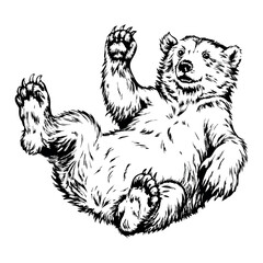 A bear is laying on its back with its paws in the air