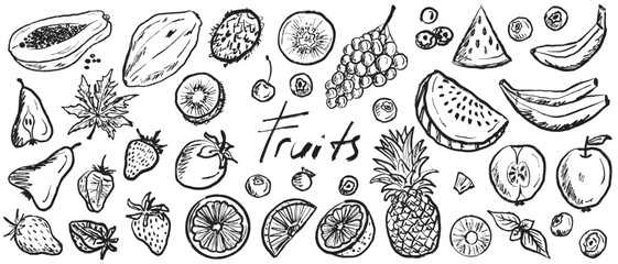 Tropical fruits. Papaya, pineapple, watermelon, blueberry, strawberry, pear designs in black brush stroke texture isolated on white. Hand drawn vector sketch illustration in vintage charcoal ink.