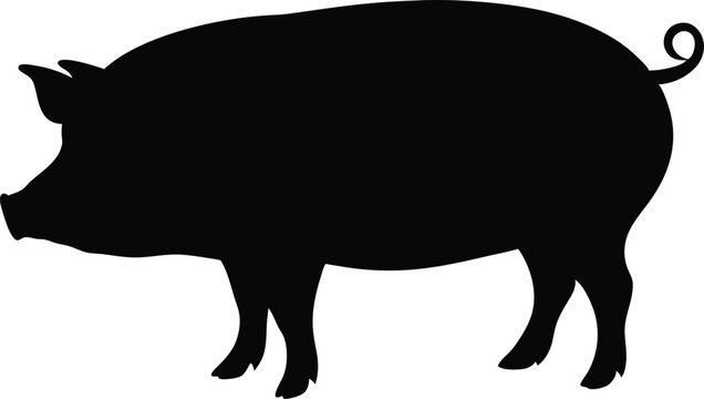 recommend clip art: Pig black silhouette isolated,Pig graphic icon