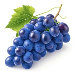 Fototapeta premium bunch of grapes
