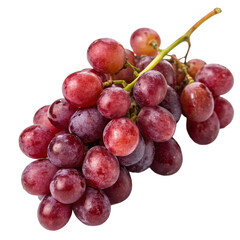 Fototapeta premium A cluster of ripe red grapes on the vine, juicy and delicious fruit