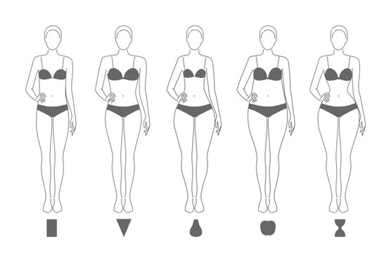 Five types of women s body shapes hourglass, pear, rectangle, apple, and inverted triangle. Female figures template for fashion, beauty, clothing, and fitness use. Vector line sketch illustration