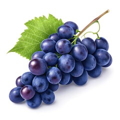 Fototapeta premium bunch of grapes