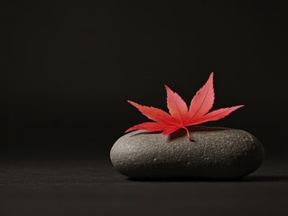 Single red maple leaf on stone with soft ambient lighting and space for text above