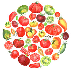 Tomatoes clipart, rare varieties of tomato seeds. Cherry, yellow, green, red, black tomatoes, tomato slice. Stock illustration. Hand painted in watercolor.