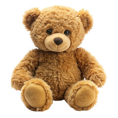 Obraz premium teddy bear isolated on white